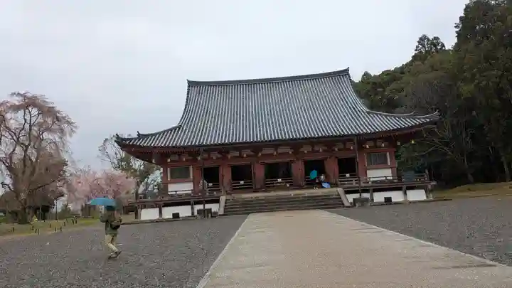 醍醐寺(京都府)