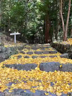 出雲大神宮(京都府)