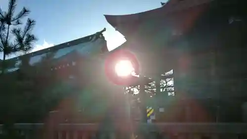 新庄八幡宮の本殿・本堂