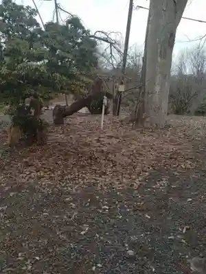 神明神社（金瓶）(山形県)