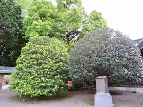 靖國神社の庭園