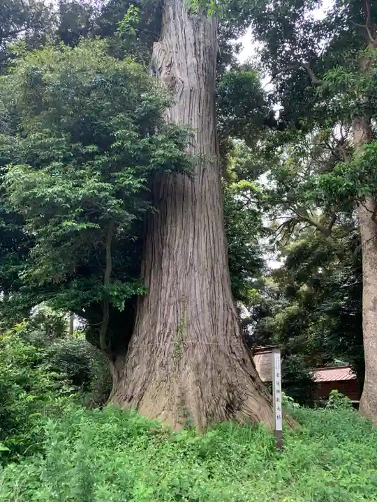 老尾神社(千葉県)
