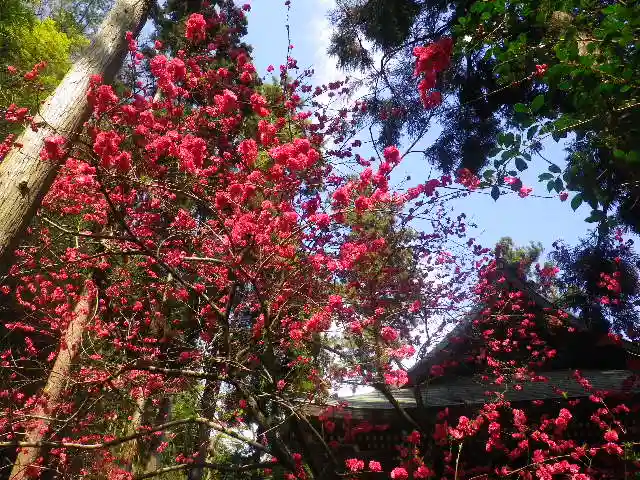 御霊神社の自然