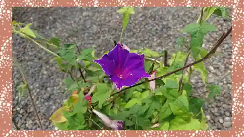 草加神社(埼玉県)