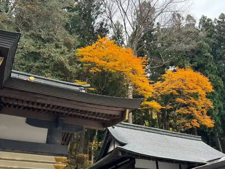 諏訪大社(長野県)