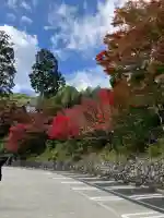 善峯寺(京都府)