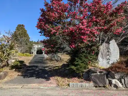 菅神社（船井天満宮）の建物その他