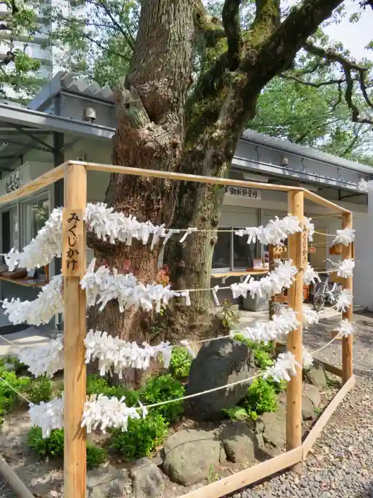 蒲田八幡神社のその他建物