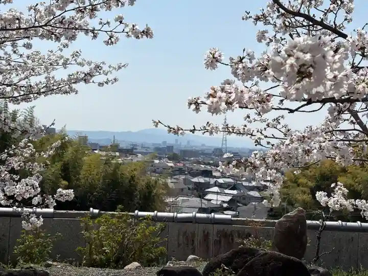 安岡寺(大阪府)