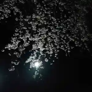 三澤寺の景色(2021年04月04日(日) 05時59分14秒投稿)
