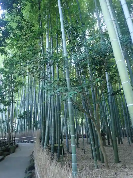 杉本寺(神奈川県)