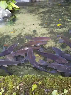 医王寺(石川県)