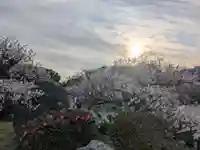 豊國神社(大阪府)