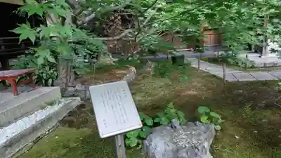 勝林寺(京都府)