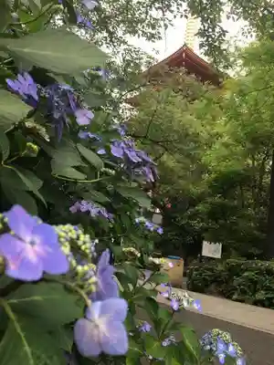 高幡不動尊　金剛寺のその他建物