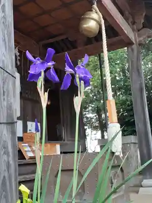 伏木香取神社(茨城県)