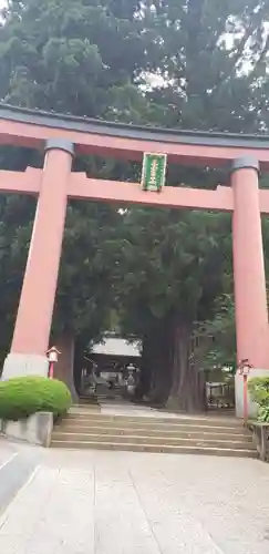 河口浅間神社の鳥居