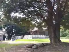 山王宮日吉神社(福井県)