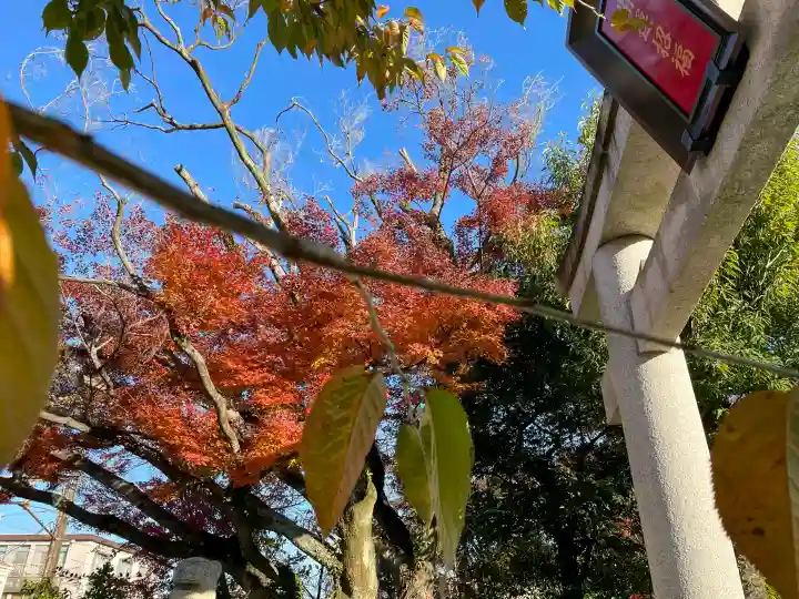 車折神社の{uncategorized: "未分類", other: "その他", undefined: "問題あり", building: "その他建物", grave: "お墓", sacred_gate: "鳥居", guardian: "狛犬", statue: "像", buddha: "仏像", history: "歴史", nature: "自然", garden: "庭園", animal: "動物", pagoda: "塔", temizu: "手水舎", mountain_gate: "山門・神門", sanctuary: "本殿・本堂", subordinate: "末社・摂社", art: "芸術", scenery: "景色", jizo: "地蔵", ema: "絵馬", goshuin: "御朱印", omikuji: "おみくじ", items: "授与品その他", amulet: "お守り", goshuincho: "御朱印帳", eats: "食事", festival: "お祭り", votive_dance: "神楽", shichigosan: "七五三参", wedding: "結婚式", experience: "体験その他", initially: "初詣", around: "周辺", anti_infection: "感染症対策"}