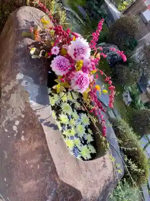 単伝庵の手水舎