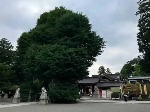 亀ケ池八幡宮(神奈川県)