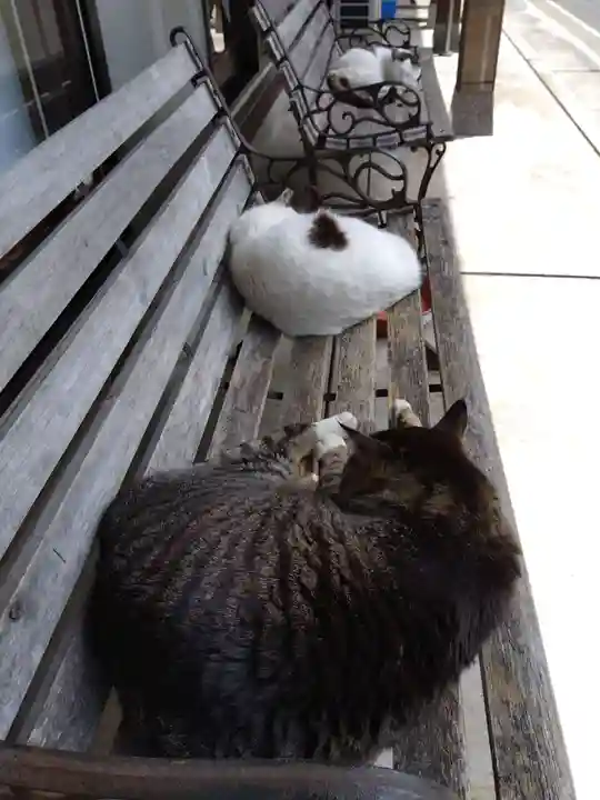 御誕生寺(猫寺)(福井県)