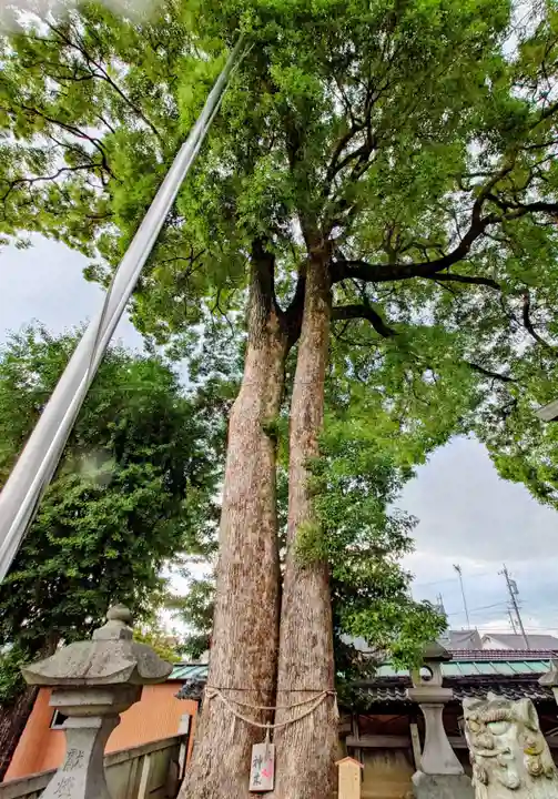 竹鼻八剱神社(八剣神社)(岐阜県)