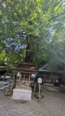 正法寺(滋賀県)
