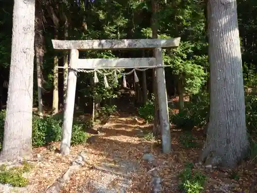 円珠院の鳥居