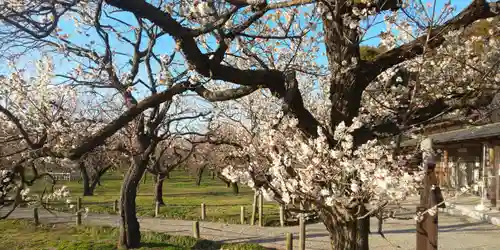 常磐神社の周辺