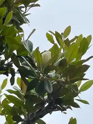 禅定寺(京都府)