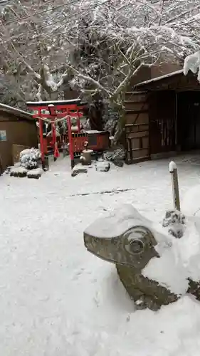 金剛稲荷神社の狛犬