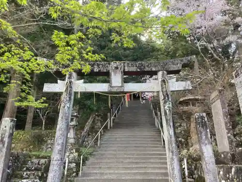 一宮神社の鳥居