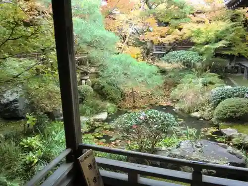 禅林寺（永観堂）の庭園