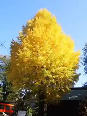 布多天神社(東京都)