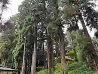 大宮温泉神社(栃木県)