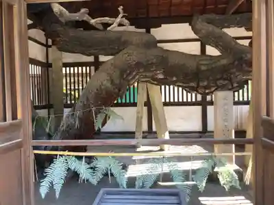 高砂神社のその他建物