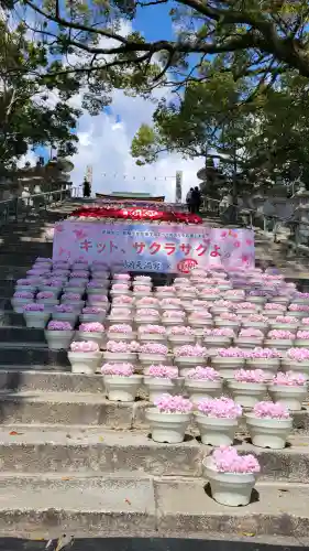 防府天満宮の{uncategorized: "未分類", other: "その他", undefined: "問題あり", building: "その他建物", grave: "お墓", sacred_gate: "鳥居", guardian: "狛犬", statue: "像", buddha: "仏像", history: "歴史", nature: "自然", garden: "庭園", animal: "動物", pagoda: "塔", temizu: "手水舎", mountain_gate: "山門・神門", sanctuary: "本殿・本堂", subordinate: "末社・摂社", art: "芸術", scenery: "景色", jizo: "地蔵", ema: "絵馬", goshuin: "御朱印", omikuji: "おみくじ", items: "授与品その他", amulet: "お守り", goshuincho: "御朱印帳", eats: "食事", festival: "お祭り", votive_dance: "神楽", shichigosan: "七五三参", wedding: "結婚式", experience: "体験その他", initially: "初詣", around: "周辺", anti_infection: "感染症対策"}