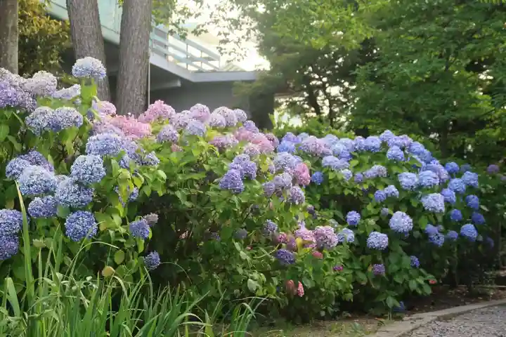 開成山大神宮の庭園