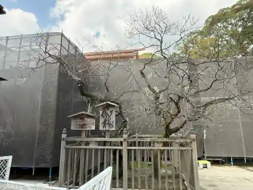 太宰府天満宮の{uncategorized: "未分類", other: "その他", undefined: "問題あり", building: "その他建物", grave: "お墓", sacred_gate: "鳥居", guardian: "狛犬", statue: "像", buddha: "仏像", history: "歴史", nature: "自然", garden: "庭園", animal: "動物", pagoda: "塔", temizu: "手水舎", mountain_gate: "山門・神門", sanctuary: "本殿・本堂", subordinate: "末社・摂社", art: "芸術", scenery: "景色", jizo: "地蔵", ema: "絵馬", goshuin: "御朱印", omikuji: "おみくじ", items: "授与品その他", amulet: "お守り", goshuincho: "御朱印帳", eats: "食事", festival: "お祭り", votive_dance: "神楽", shichigosan: "七五三参", wedding: "結婚式", experience: "体験その他", initially: "初詣", around: "周辺", anti_infection: "感染症対策"}