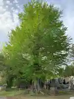 常蓮寺(千葉県)