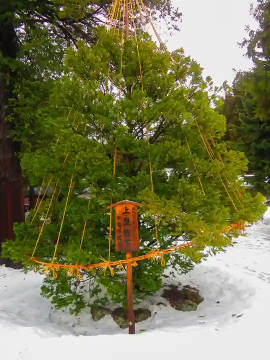 北海道神宮(北海道)
