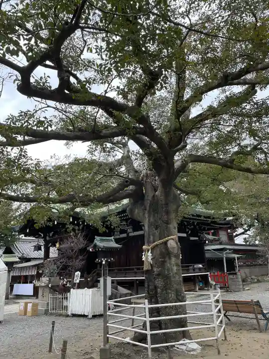 生根神社(大阪府)
