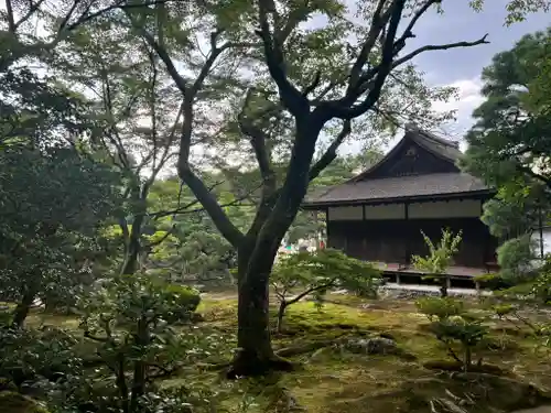 慈照寺（慈照禅寺・銀閣寺）の庭園