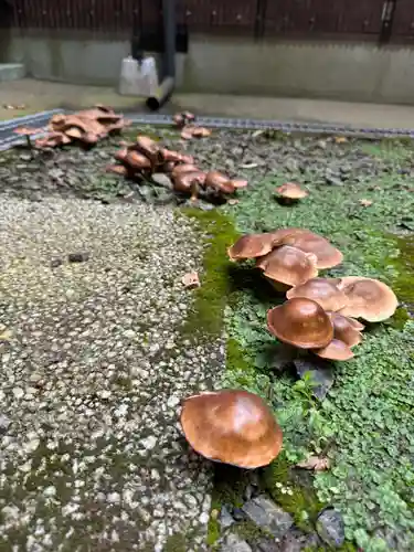 鹿島大神宮(福島県)