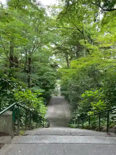 妙本寺の{uncategorized: "未分類", other: "その他", undefined: "問題あり", building: "その他建物", grave: "お墓", sacred_gate: "鳥居", guardian: "狛犬", statue: "像", buddha: "仏像", history: "歴史", nature: "自然", garden: "庭園", animal: "動物", pagoda: "塔", temizu: "手水舎", mountain_gate: "山門・神門", sanctuary: "本殿・本堂", subordinate: "末社・摂社", art: "芸術", scenery: "景色", jizo: "地蔵", ema: "絵馬", goshuin: "御朱印", omikuji: "おみくじ", items: "授与品その他", amulet: "お守り", goshuincho: "御朱印帳", eats: "食事", festival: "お祭り", votive_dance: "神楽", shichigosan: "七五三参", wedding: "結婚式", experience: "体験その他", initially: "初詣", around: "周辺", anti_infection: "感染症対策"}