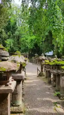 春日大社の{uncategorized: "未分類", other: "その他", undefined: "問題あり", building: "その他建物", grave: "お墓", sacred_gate: "鳥居", guardian: "狛犬", statue: "像", buddha: "仏像", history: "歴史", nature: "自然", garden: "庭園", animal: "動物", pagoda: "塔", temizu: "手水舎", mountain_gate: "山門・神門", sanctuary: "本殿・本堂", subordinate: "末社・摂社", art: "芸術", scenery: "景色", jizo: "地蔵", ema: "絵馬", goshuin: "御朱印", omikuji: "おみくじ", items: "授与品その他", amulet: "お守り", goshuincho: "御朱印帳", eats: "食事", festival: "お祭り", votive_dance: "神楽", shichigosan: "七五三参", wedding: "結婚式", experience: "体験その他", initially: "初詣", around: "周辺", anti_infection: "感染症対策"}