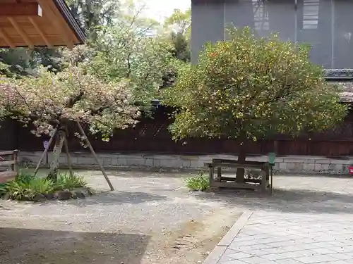 平野神社の庭園