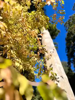 矢彦神社(長野県)