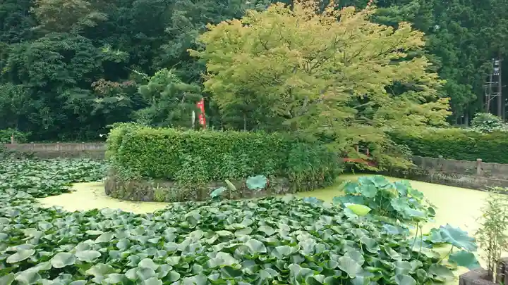 蓮池弁財尊天(宮城県)